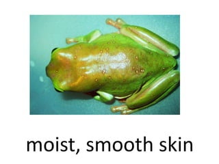 moist, smooth skin
 