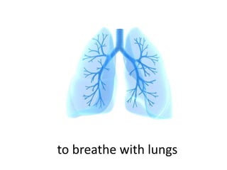 to breathe with lungs
 