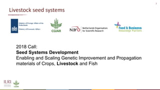 Women in business: Chicken seed dissemination in Ethiopia and Tanzania