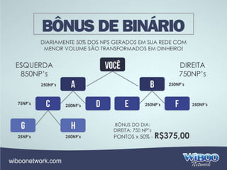 Wiboo Network Apresentacao Completa 2014