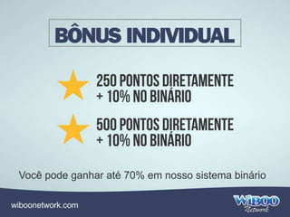 Wiboo Network Apresentacao Completa 2014