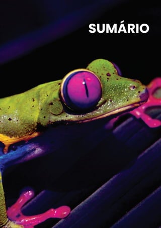 SUMÁRIO
 