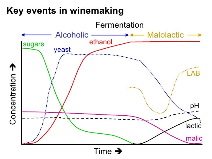 Wine Microbiology for Fermentation Success and Wine Quality