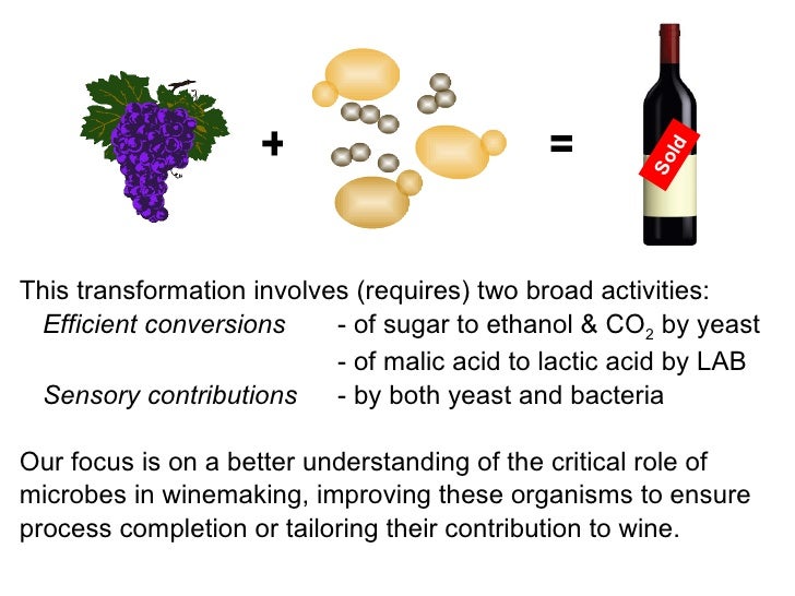 Wine Microbiology for Fermentation Success and Wine Quality