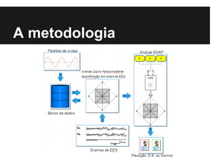 A metodologia
 