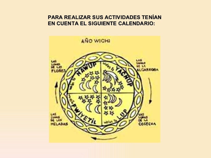 Wichis