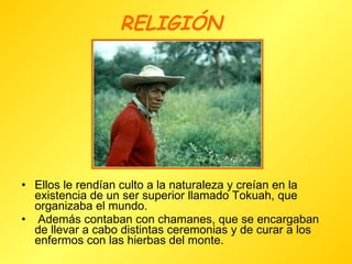 RELIGIÓN   Ellos le rendían culto a la naturaleza y creían en la existencia de un ser superior llamado Tokuah, que organizaba el mundo. Además contaban con chamanes, que se encargaban de llevar a cabo distintas ceremonias y de curar a los enfermos con las hierbas del monte.  