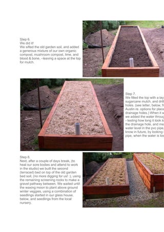 Step 6.
We did it!
We sifted the old garden soil, and added
a generous mixture of our own organic
compost, mushroom compost, lime, and
blood & bone, –leaving a space at the top
for mulch.
Step 7.
We filled the top with a laye
sugarcane mulch, and drill
holes. (see letter, below, fr
Austin re. options for place
drainage holes.) When it w
we added the water throug
- testing how long it took to
the drainage hole, and mea
water level in the pvc pipe,
know in future, by looking i
pipe, when the water is low
Step 8.
Next, after a couple of days break, (to
heal our sore bodies and attend to work
in the studio) we built the second
(terraced) bed on top of the old garden
bed soil, (no more digging for us! :), using
the remaining screening rocks to make a
gravel pathway between. We waited until
the waxing moon to plant above ground
winter veggies, using a combination of
seedlings started in our glass house,
below, and seedlings from the local
nursery.
 