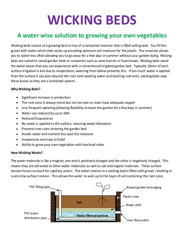 Wicking Bed Gardening A Water Wise Solution to Growing Your Own Vege…