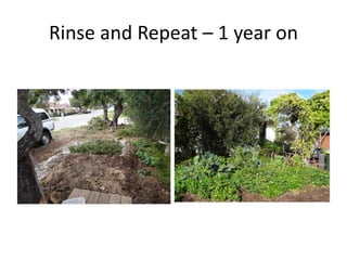 Rinse and Repeat – 1 year on
 