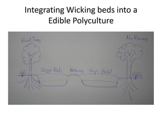 Integrating Wicking beds into a
Edible Polyculture
 