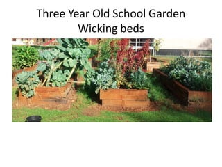Three Year Old School Garden
Wicking beds
 