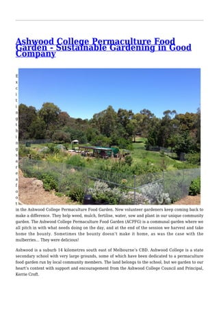 Ashwood College Permaculture Food
Garden - Sustainable Gardening in Good
Company
E
x
c
i
t
i
n
g
t
h
i
n
g
s
a
r
e
a
f
o
o
t
in the Ashwood College Permaculture Food Garden. New volunteer gardeners keep coming back to
make a difference. They help weed, mulch, fertilise, water, sow and plant in our unique community
garden. The Ashwood College Permaculture Food Garden (ACPFG) is a communal garden where we
all pitch in with what needs doing on the day, and at the end of the session we harvest and take
home the bounty. Sometimes the bounty doesn’t make it home, as was the case with the
mulberries… They were delicious!
Ashwood is a suburb 14 kilometres south east of Melbourne’s CBD. Ashwood College is a state
secondary school with very large grounds, some of which have been dedicated to a permaculture
food garden run by local community members. The land belongs to the school, but we garden to our
heart’s content with support and encouragement from the Ashwood College Council and Principal,
Kerrie Croft.
 