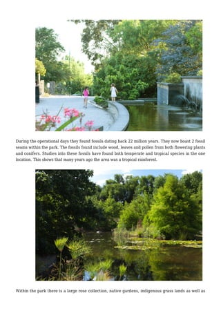 During the operational days they found fossils dating back 22 million years. They now boast 2 fossil
seams within the park. The fossils found include wood, leaves and pollen from both flowering plants
and conifers. Studies into these fossils have found both temperate and tropical species in the one
location. This shows that many years ago the area was a tropical rainforest.
Within the park there is a large rose collection, native gardens, indigenous grass lands as well as
 