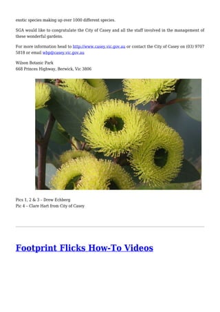 exotic species making up over 1000 different species.
SGA would like to congratulate the City of Casey and all the staff involved in the management of
these wonderful gardens.
For more information head to http://www.casey.vic.gov.au or contact the City of Casey on (03) 9707
5818 or email wbp@casey.vic.gov.au
Wilson Botanic Park
668 Princes Highway, Berwick, Vic 3806
Pics 1, 2 & 3 – Drew Echberg
Pic 4 – Clare Hart from City of Casey
Footprint Flicks How-To Videos
 