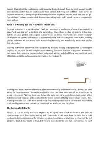 hands? What about the combination chilli sauce/garden pest spray? Even the ever-popular “upside
down tomato planter” has me scratching my head a little! But every now and then I come across an
inspired innovation, a dandy design that makes me excited to get out into the patch and give it a go.
One of these I’ve been convinced of this week is wicking beds, and I hoped you’re as interested in
them as I am.
What Is a Wicking Bed and Why Would I Want One?
So, what in the world is a wicking bed? Well, as I explained to a colleague of mine, it’s essentially a
giant “self watering pot” in the form of a garden bed. Okay, there is a fair bit more to it then that,
but the idea is a garden bed designed to draw water up from a reservoir below, hence “wicking”
through the soil directly to the roots. A system devised by Australian engineer Colin Austin, wicking
garden beds (and wicking worm beds) are gaining popularity as a wonderfully water wise garden
bed alternative.
Drawing water from a reservoir below the growing medium, wicking beds operate on the concept of
capillary action, with the soil and plant roots drawing this water upwards as required. Essentially,
this means that a properly constructed and maintained wicking bed should have nice, moist soil most
of the time, with the roots accessing the water as they require it.
Wicking beds have a number of benefits, both environmentally and horticulturally. Firstly, it’s a fab
set up for thirsty gardens (like vegie patches) in areas that have lower rainfall, or are affected by
water restrictions. Wicking beds also deliver the water were it’s needed (the plant roots), which
minimises water wastage, and can also help to reduce the risk of funky fungal foliage issues. Also,
wicking beds are said to be more effective at sequestering atmospheric carbon then many other
traditional types of garden bed set ups, meaning it’s a win for us, and the planet.
The Wicking Bed How To
Alright, it is a bit wishy washy to explain, so let’s just have a look at the nuts and bolts of
constructing a good, functioning wicking bed. Essentially, it’s all about have the right depth, right
medium (both for drainage and for growing you plants) and taking a bit of time to construct the bed
properly. Yeah, it may sound tedious, but you will thank me in the long run. So where do we start
 