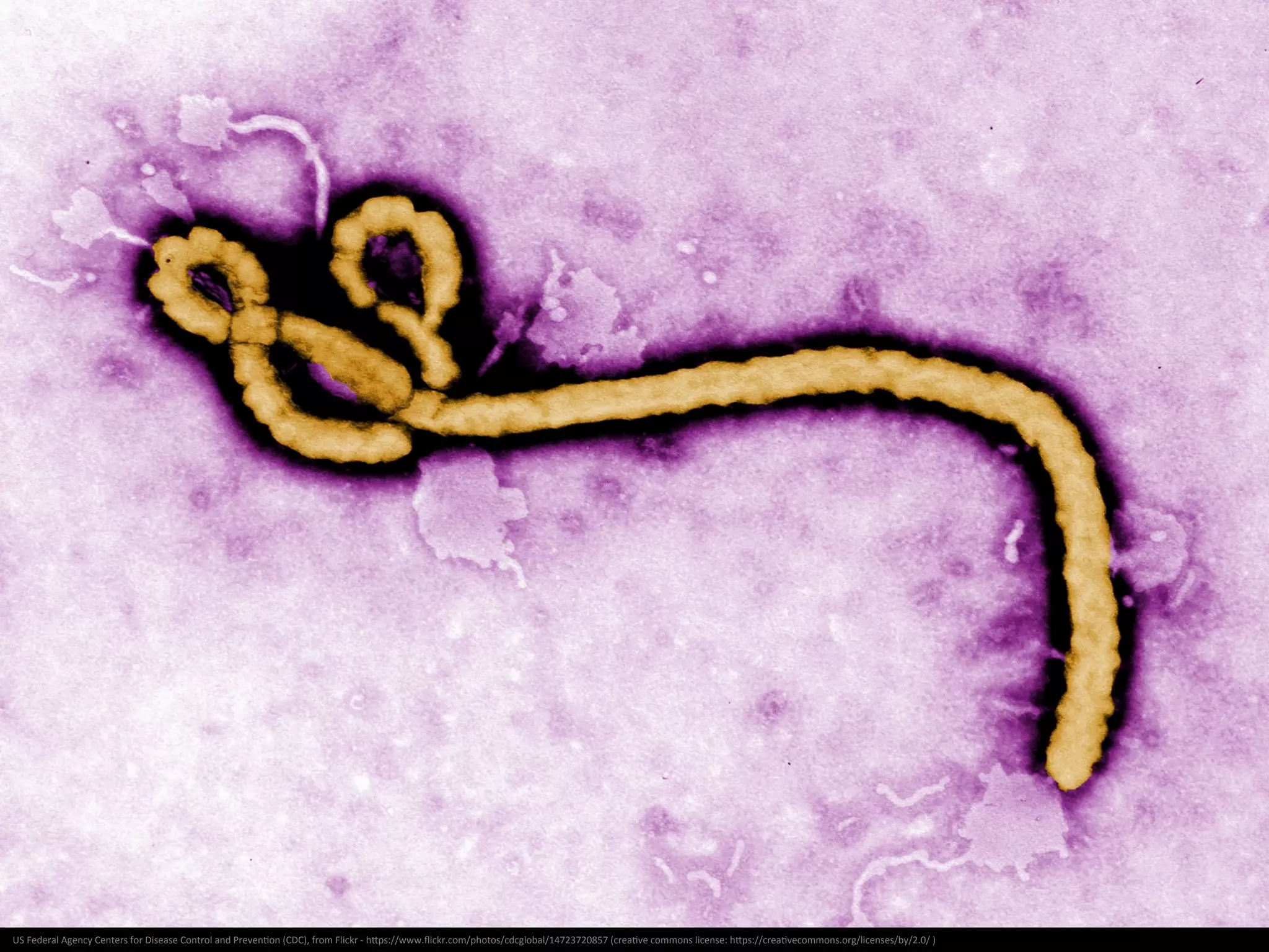 John	
  Snow/C.F.	
  Cheﬃns	
  (Rewardiv	
  at	
  en.wikipedia)	
  [Public	
  domain],	
  from	
  Wikimedia	
  Commons	
  -­‐	
  hNp://commons.wikimedia.org/wiki/File:Snow-­‐cholera-­‐map-­‐1.jpg	
  
 