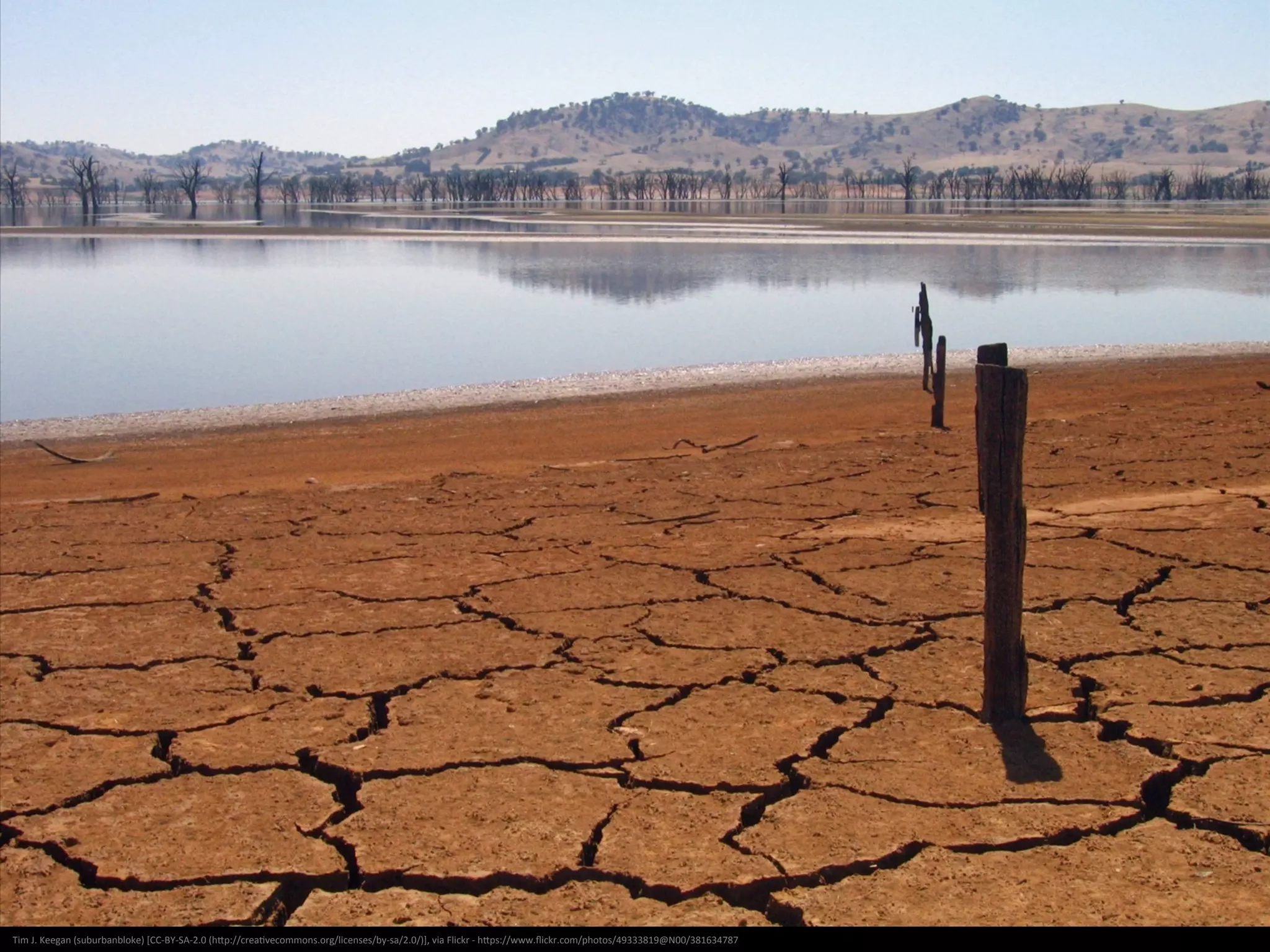 US	
  Federal	
  Agency	
  Drug	
  Enforcement	
  Agency	
  (DEA)	
  [Public	
  domain],	
  via	
  Wikimedia	
  Commons	
  -­‐	
  hNp://commons.wikimedia.org/wiki/File:Drugpackscorpion.png	
  
 