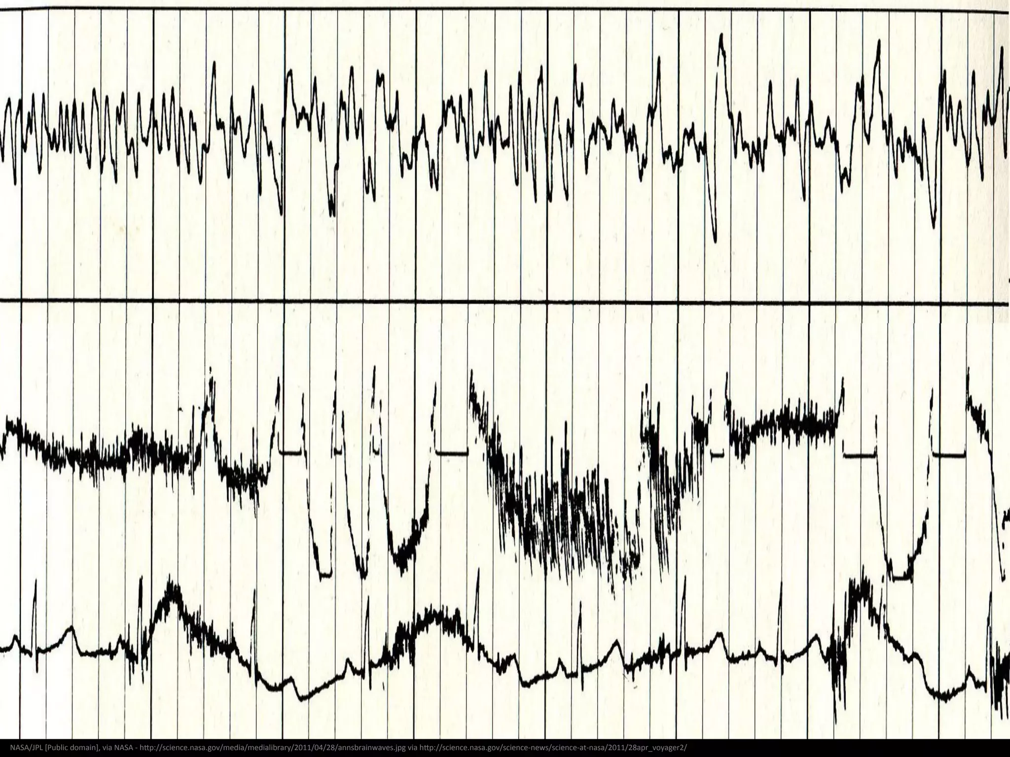 By	
  Arne	
  Nordmann	
  [GFDL	
  (hNp://www.gnu.org/copyleo/fdl.html),	
  CC-­‐BY-­‐SA-­‐3.0	
  (hNp://crea<vecommons.org/licenses/by-­‐sa/3.0/)],	
  via	
  Wikimedia	
  Commons	
  -­‐	
  hNp://commons.wikimedia.org/wiki/File:Arecibo_message.svg	
  
 