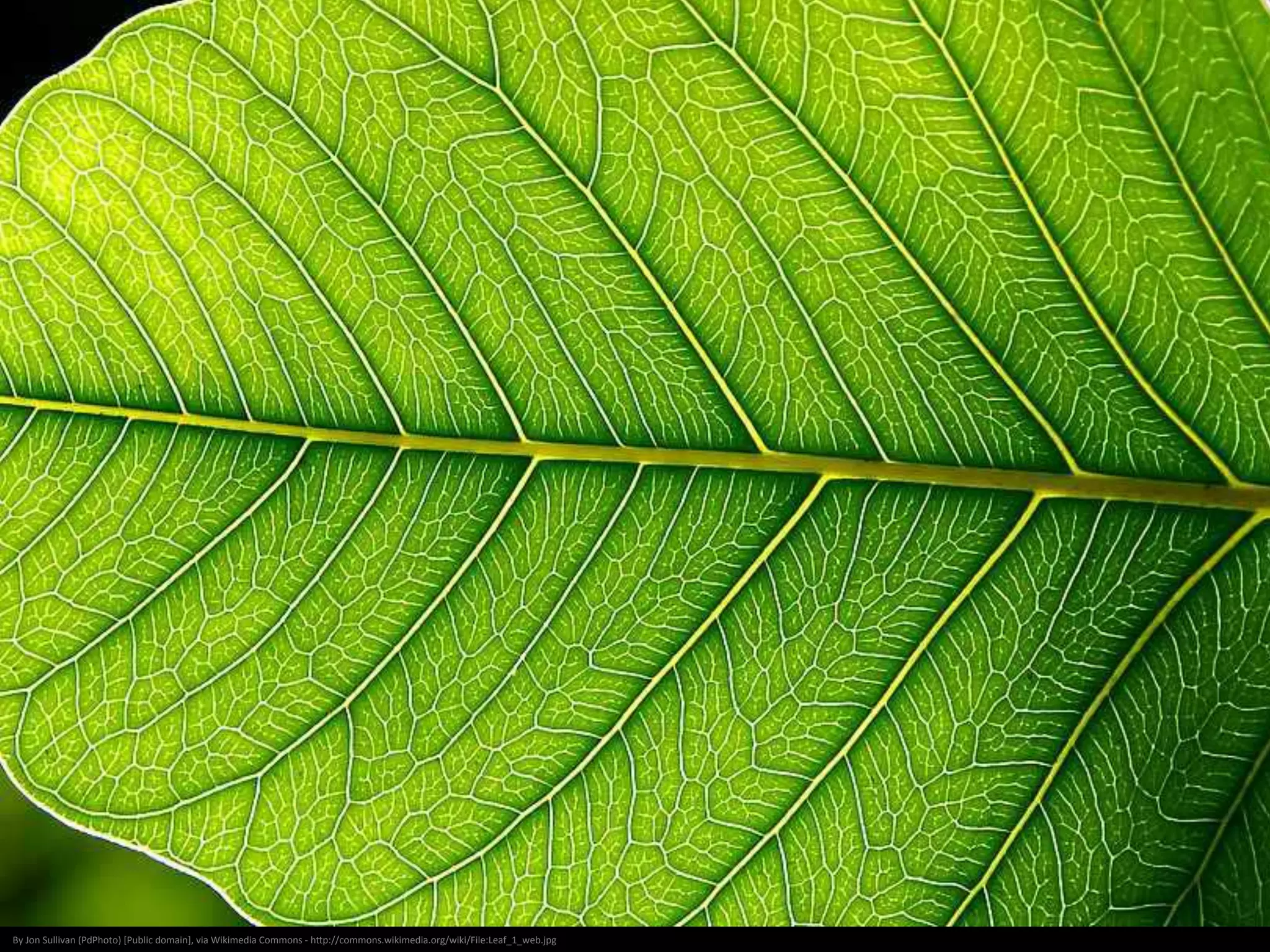 Objective 1
Must communicate
“this is a message”
 