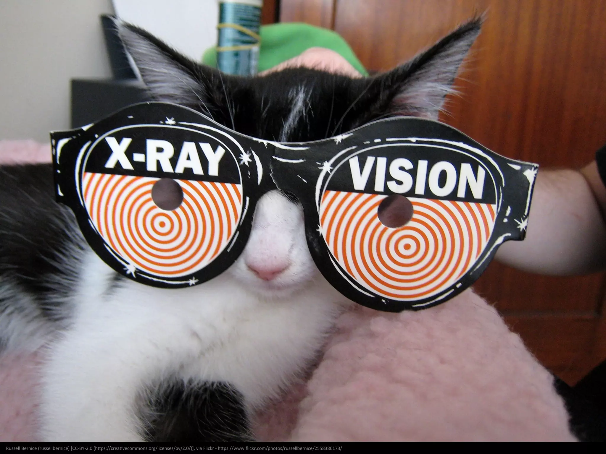 Objective 2
Must communicate
“this area is dangerous”
 