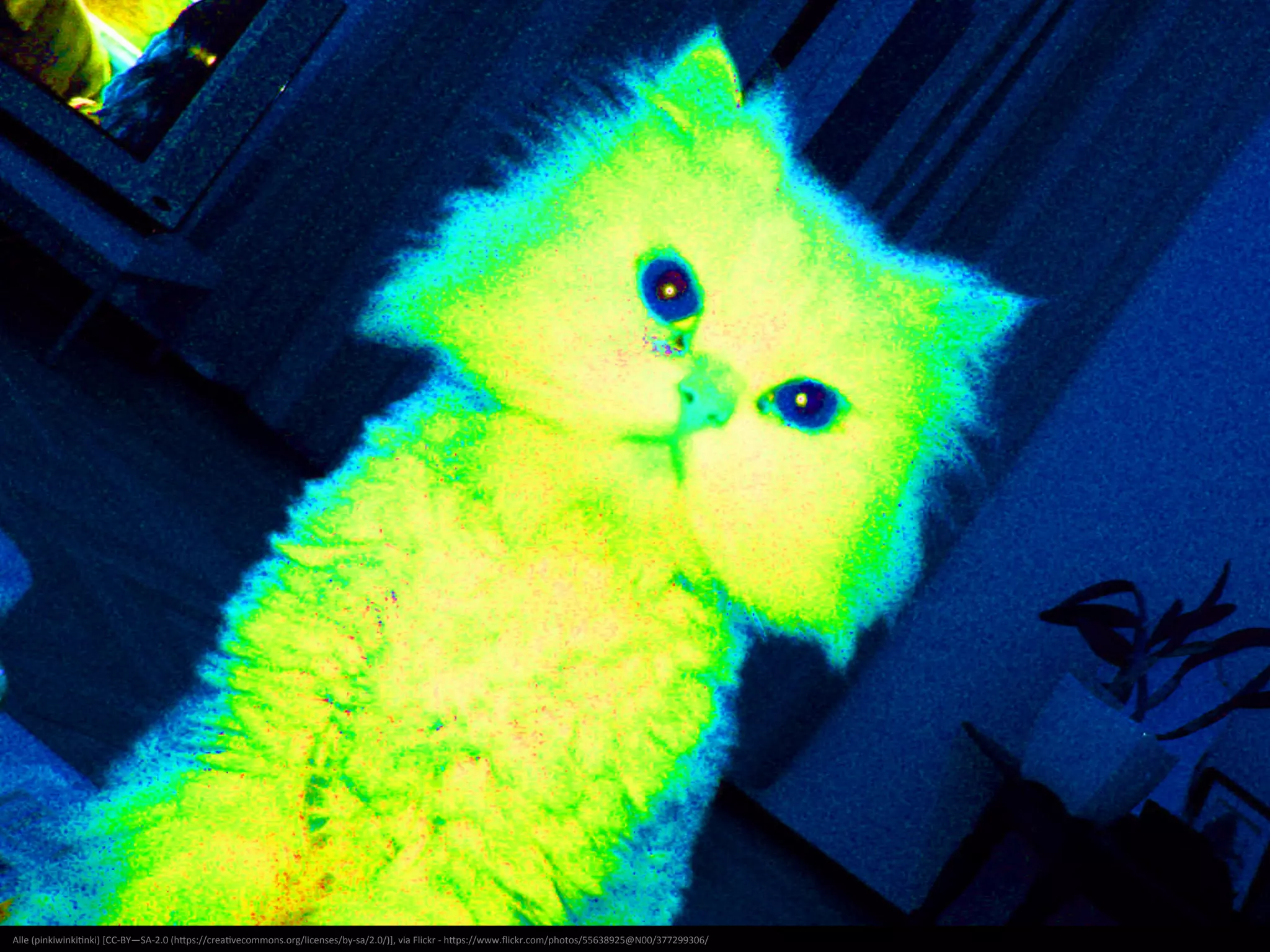 Objective 3
Must communicate
WHY
 