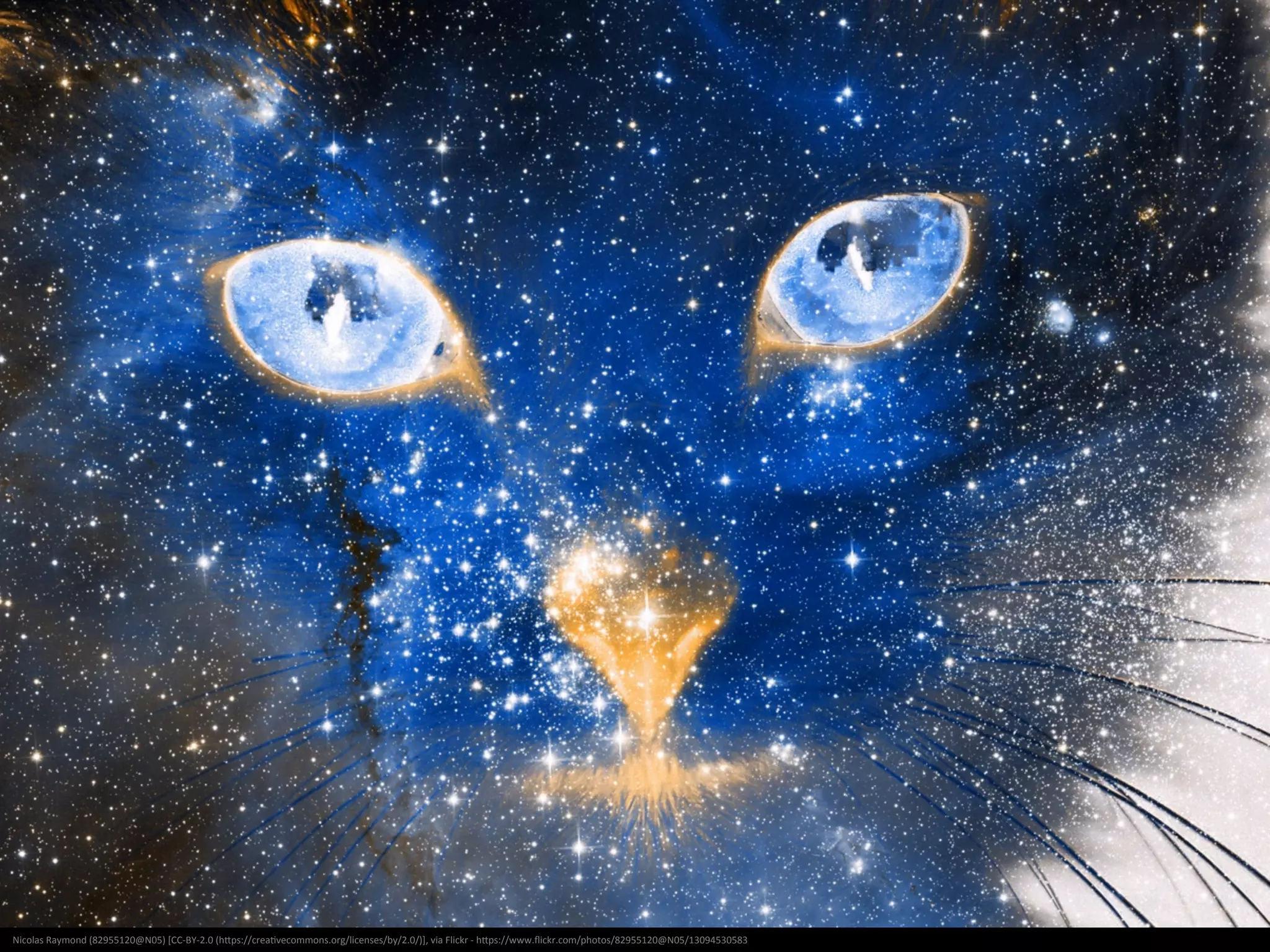 NASA	
  [Public	
  domain],	
  via	
  Wikimedia	
  Commons	
  -­‐	
  hNp://commons.wikimedia.org/wiki/File:GPS_Satellite_NASA_art-­‐iif.jpg	
  
 