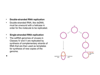 Viruses genome organization and architecture notes | PPT
