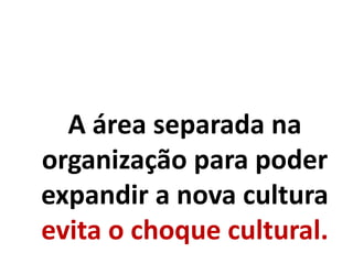 A área separada na
organização para poder
expandir a nova cultura
evita o choque cultural.
 