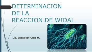 DETERMINACION
DE LA
REACCION DE WIDAL
Lic. Elizabeth Cruz M.
 