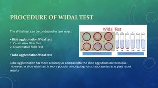 Widal test | PPTX