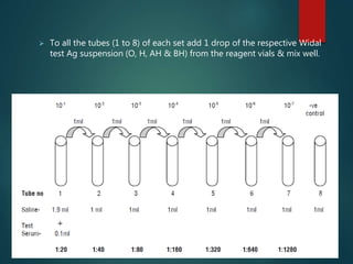  To all the tubes (1 to 8) of each set add 1 drop of the respective Widal
test Ag suspension (O, H, AH & BH) from the reagent vials & mix well.
 