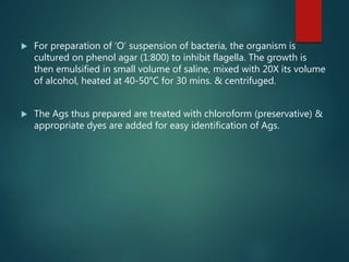  For preparation of ‘O’ suspension of bacteria, the organism is
cultured on phenol agar (1:800) to inhibit flagella. The growth is
then emulsified in small volume of saline, mixed with 20X its volume
of alcohol, heated at 40-50°C for 30 mins. & centrifuged.
 The Ags thus prepared are treated with chloroform (preservative) &
appropriate dyes are added for easy identification of Ags.
 
