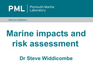 Marine impacts and
 risk assessment
   Dr Steve Widdicombe
 