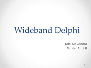 Wideband Delphi
Tole Alexandra
Master An 1 TI
 