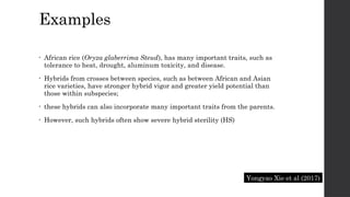 Examples
• African rice (Oryza glaberrima Steud), has many important traits, such as
tolerance to heat, drought, aluminum toxicity, and disease.
• Hybrids from crosses between species, such as between African and Asian
rice varieties, have stronger hybrid vigor and greater yield potential than
those within subspecies;
• these hybrids can also incorporate many important traits from the parents.
• However, such hybrids often show severe hybrid sterility (HS)
Yongyao Xie et al (2017)
 