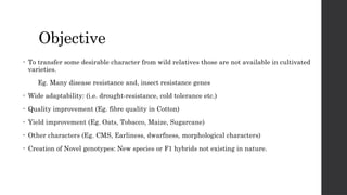 Objective
• To transfer some desirable character from wild relatives those are not available in cultivated
varieties.
Eg. Many disease resistance and, insect resistance genes
• Wide adaptability: (i.e. drought-resistance, cold tolerance etc.)
• Quality improvement (Eg. fibre quality in Cotton)
• Yield improvement (Eg. Oats, Tobacco, Maize, Sugarcane)
• Other characters (Eg. CMS, Earliness, dwarfness, morphological characters)
• Creation of Novel genotypes: New species or F1 hybrids not existing in nature.
 