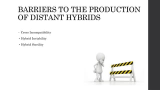 BARRIERS TO THE PRODUCTION
OF DISTANT HYBRIDS
• Cross Incompatibility
• Hybrid Inviability
• Hybrid Sterility
 