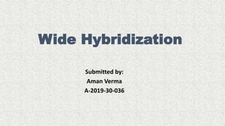 Wide Hybridization
Submitted by:
Aman Verma
A-2019-30-036
 