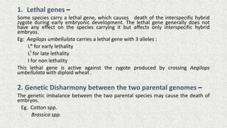 Lethality Genetics Wide Hybridization (1) (2).pptx