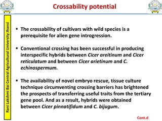 Rani
Lakshmi
Bai
Central
Agricultural
University
Jhansi Crossability potential
 The crossability of cultivars with wild species is a
prerequisite for alien gene introgression.
 Conventional crossing has been successful in producing
interspecific hybrids between Cicer areitinum and Cicer
reticulatum and between Cicer arietinum and C.
echinospermum.
 The availability of novel embryo rescue, tissue culture
technique circumventing crossing barriers has brightened
the prospects of transferring useful traits from the tertiary
gene pool. And as a result, hybrids were obtained
between Cicer pinnatifidum and C. bijugum.
Cont.d
 