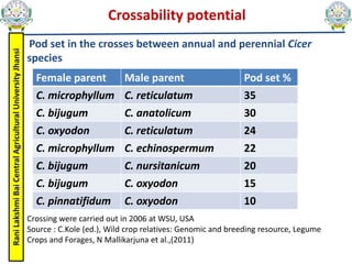 Rani
Lakshmi
Bai
Central
Agricultural
University
Jhansi Crossability potential
Pod set in the crosses between annual and perennial Cicer
species
Female parent Male parent Pod set %
C. microphyllum C. reticulatum 35
C. bijugum C. anatolicum 30
C. oxyodon C. reticulatum 24
C. microphyllum C. echinospermum 22
C. bijugum C. nursitanicum 20
C. bijugum C. oxyodon 15
C. pinnatifidum C. oxyodon 10
Crossing were carried out in 2006 at WSU, USA
Source : C.Kole (ed.), Wild crop relatives: Genomic and breeding resource, Legume
Crops and Forages, N Mallikarjuna et al.,(2011)
 