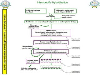 Rani
Lakshmi
Bai
Central
Agricultural
University
Jhansi
 
