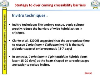 Rani
Lakshmi
Bai
Central
Agricultural
University
Jhansi Strategy to over coming crossability barriers
Invitro techniques :
 Invitro techniques like embryo rescue, ovule culture
greatly reduce the barriers of wide hybridization in
chickpea.
 Clarke et al., (2006) suggested that the appropriate time
to rescue C arietinum × C bijugum hybrid is the early
globular stage of embryogenesis ( 2-7 days)
 In contrast, C arietinum × C pinnatifidum hybrids abort
later (15-20 days) at the heart shaped or terpedo stages
are easier to rescue invitro.
Cont.d
 