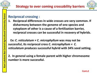 Rani
Lakshmi
Bai
Central
Agricultural
University
Jhansi
Strategy to over coming crossability barriers
Reciprocal crossing :
1. Reciprocal differences in wide crosses are very common. If
disharmony between the genome of one species and
cytoplasm of other is a cause of a fertilization barrier,
reciprocal crosses can be successful in recovery of hybrids.
Ex: C. reticulatum × C. microphyllum was may not be
successful, its reciprocal cross C. microphyllum × C.
reticulatum produces successful hybrid with 34% seed setting.
2. In general using a female parent with higher chromosome
number is more successful.
Cont.d
 