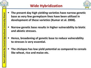 Rani
Lakshmi
Bai
Central
Agricultural
University
Jhansi
 The present day high yielding varieties have narrow genetic
base as very few germplasm lines have been utilized in
development of these varieties (Kumar et al. 2008).
 Narrow genetic base results in higher vulnerability to biotic
and abiotic stresses.
 Hence, broadening of genetic base to reduce vulnerability
to stresses is very essential.
 The chickpea has low yield potential as compared to cereals
like wheat, rice and maize etc.
Wide Hybridization
 
