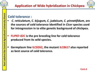 Rani
Lakshmi
Bai
Central
Agricultural
University
Jhansi
Application of Wide hybridization in Chickpea
Cold tolerance :
 C. reticulatum, C. bijugum, C. judaicum, C. pinnatifidum, are
the sources of cold tolerance identified in Cicer species used
for introgression in to elite genetic background of chickpea.
 FLIP87-82C is the pre breeding line for cold tolerance
produced from its wild species.
 Germplasm line ILC8262, the mutant ILC8617 also reported
as best source of cold tolerance.
Cont.d
 