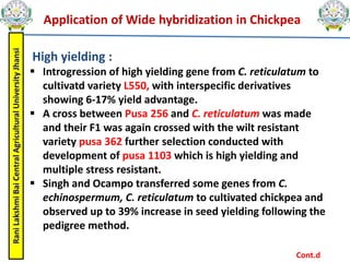 Rani
Lakshmi
Bai
Central
Agricultural
University
Jhansi
Application of Wide hybridization in Chickpea
High yielding :
 Introgression of high yielding gene from C. reticulatum to
cultivatd variety L550, with interspecific derivatives
showing 6-17% yield advantage.
 A cross between Pusa 256 and C. reticulatum was made
and their F1 was again crossed with the wilt resistant
variety pusa 362 further selection conducted with
development of pusa 1103 which is high yielding and
multiple stress resistant.
 Singh and Ocampo transferred some genes from C.
echinospermum, C. reticulatum to cultivated chickpea and
observed up to 39% increase in seed yielding following the
pedigree method.
Cont.d
 