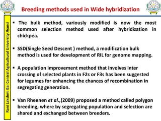 Rani
Lakshmi
Bai
Central
Agricultural
University
Jhansi
Breeding methods used in Wide hybridization
 The bulk method, variously modified is now the most
common selection method used after hybridization in
chickpea.
 SSD(Single Seed Descent ) method, a modification bulk
method is used for development of RIL for genome mapping.
 A population improvement method that involves inter
crossing of selected plants in F2s or F3s has been suggested
for legumes for enhancing the chances of recombination in
segregating generation.
 Van Rheenen et al.,(2009) proposed a method called polygon
breeding, where by segregating population and selection are
shared and exchanged between breeders.
 