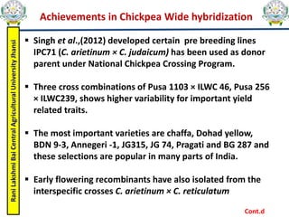 Rani
Lakshmi
Bai
Central
Agricultural
University
Jhansi
Achievements in Chickpea Wide hybridization
 Singh et al.,(2012) developed certain pre breeding lines
IPC71 (C. arietinum × C. judaicum) has been used as donor
parent under National Chickpea Crossing Program.
 Three cross combinations of Pusa 1103 × ILWC 46, Pusa 256
× ILWC239, shows higher variability for important yield
related traits.
 The most important varieties are chaffa, Dohad yellow,
BDN 9-3, Annegeri -1, JG315, JG 74, Pragati and BG 287 and
these selections are popular in many parts of India.
 Early flowering recombinants have also isolated from the
interspecific crosses C. arietinum × C. reticulatum
Cont.d
 